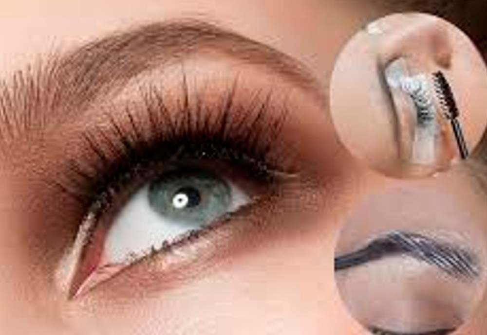 Taller Full Day de pestañas y cejas 